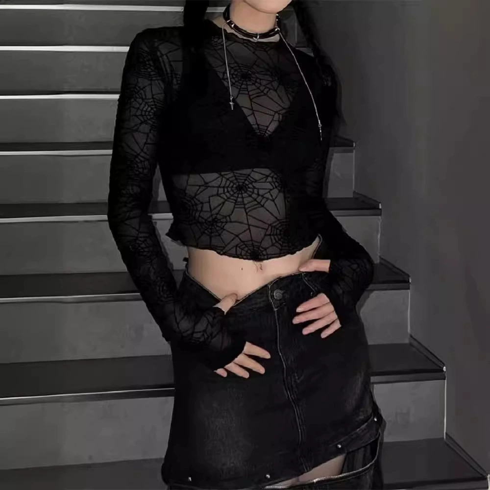 Zara Dark Spider Web Mesh Long Sleeve Sheer Crop Top